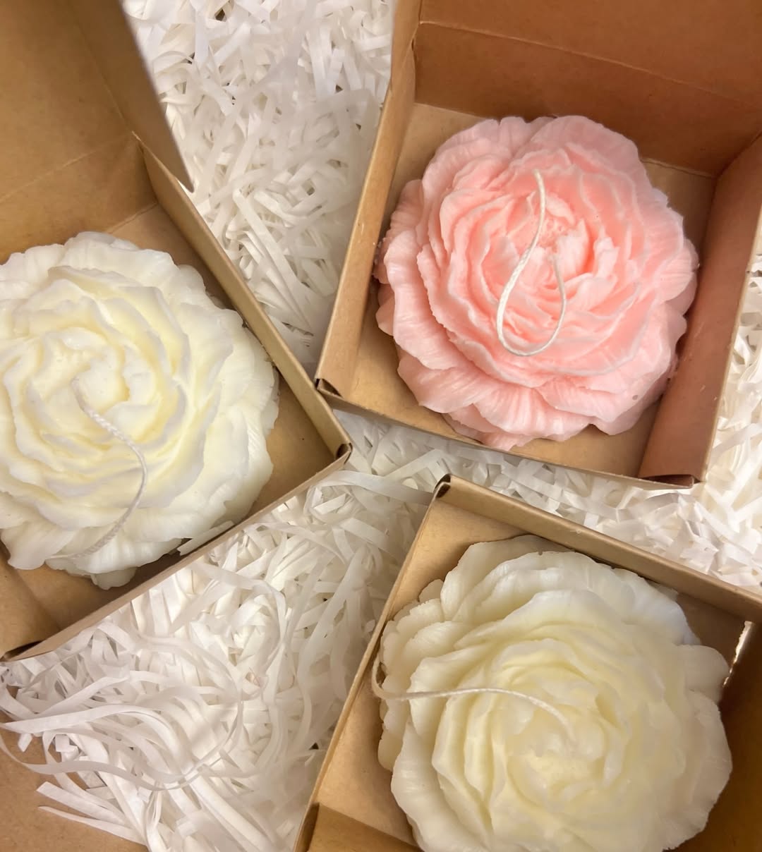 Peony Daydream Scented Candle