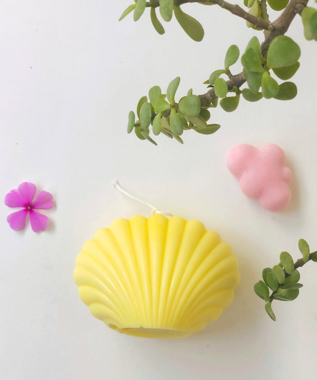 Coastal Luxe Seashell Candle