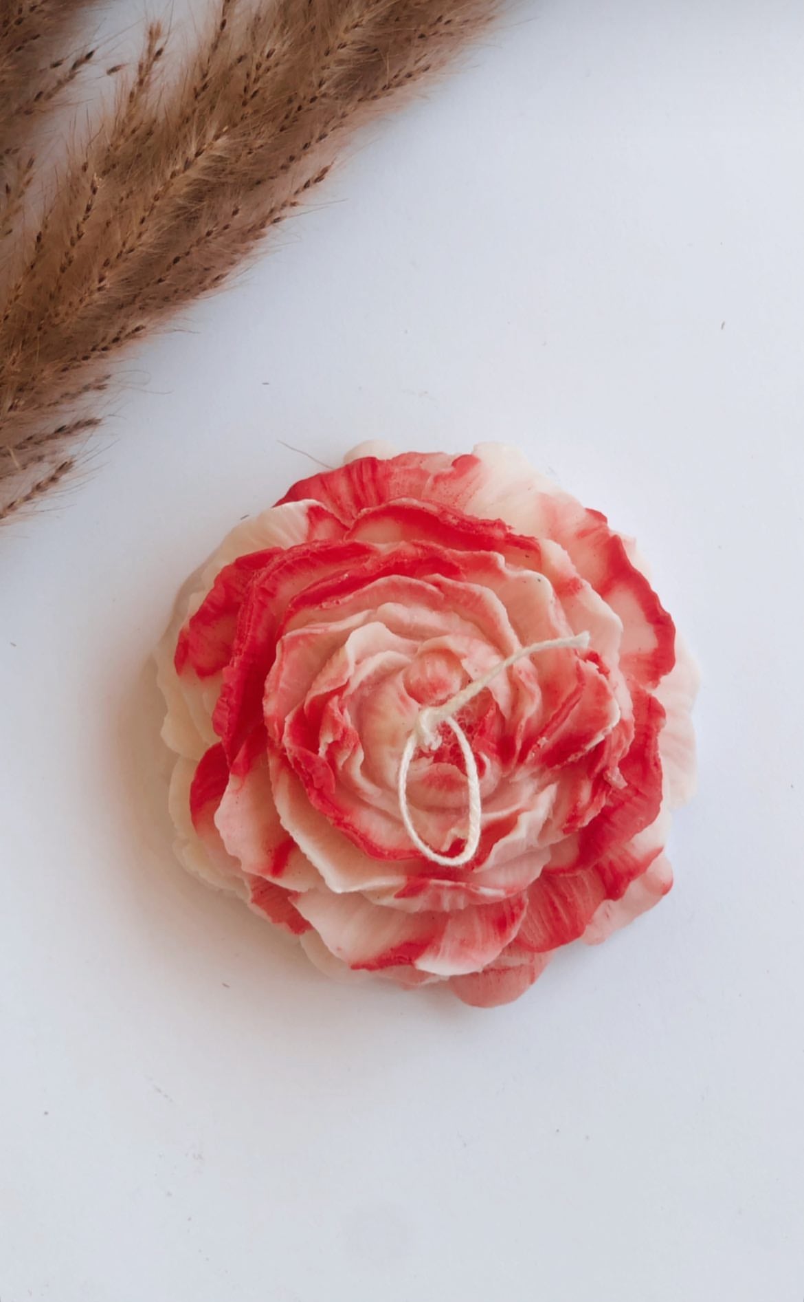 Peony Daydream Scented Candle